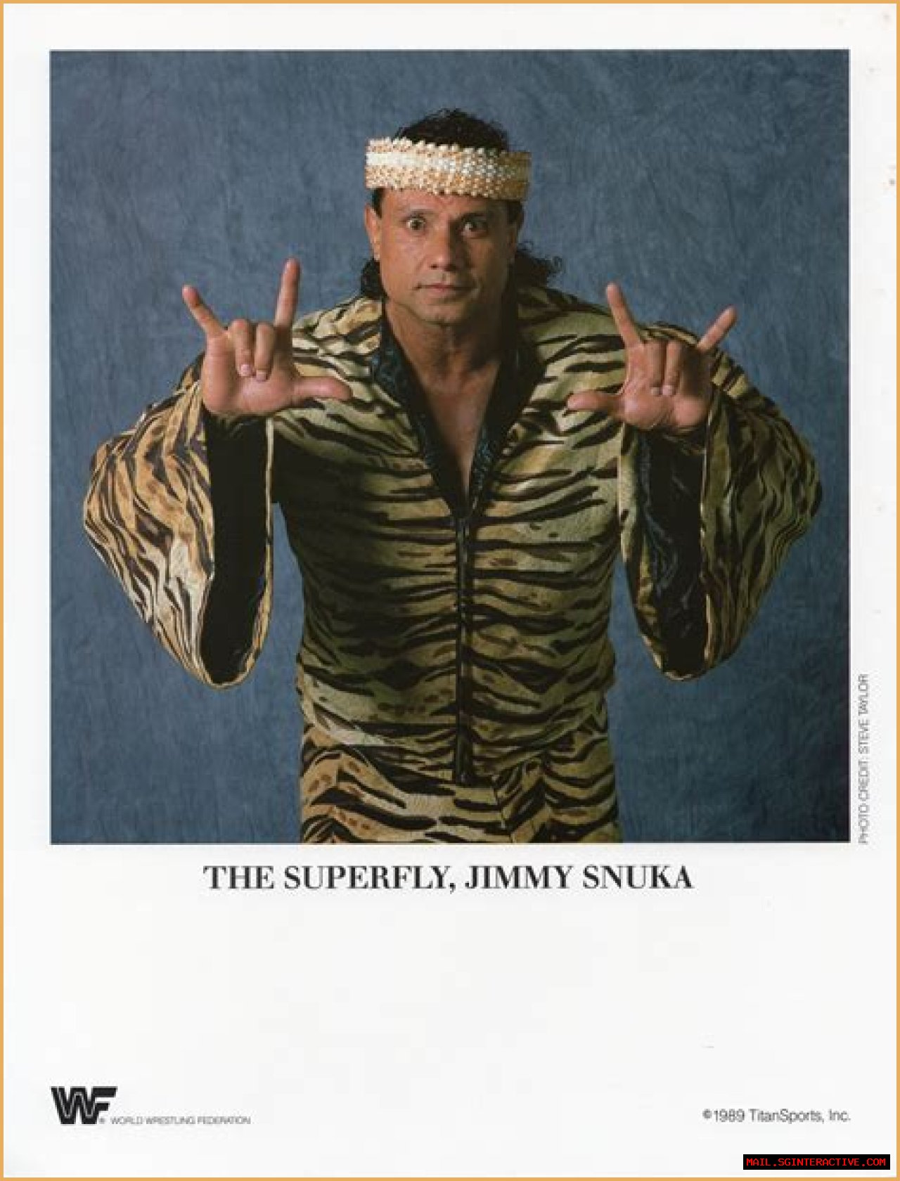 Exploring The Connection: Jimmy Snuka Related To The Rock